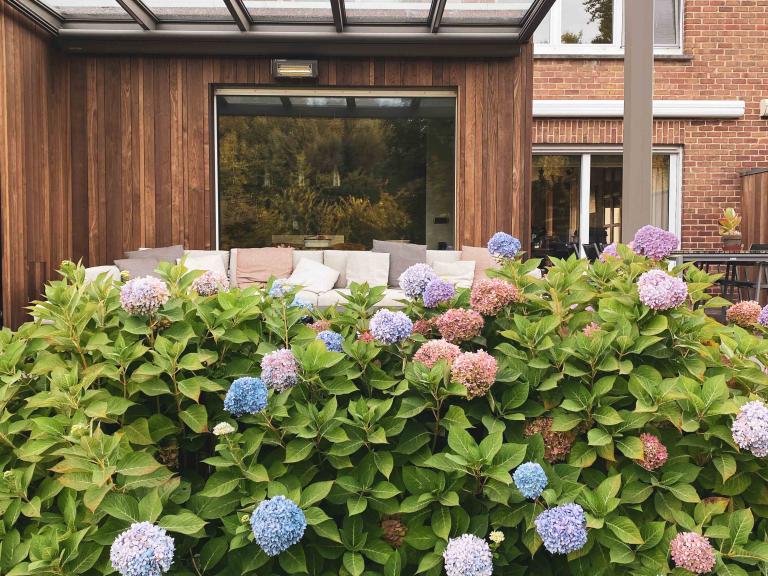 Weinor Glasoase door demaeght zonwering geplaatst aan deze gerenoveerde woning te Harelbeke. Een glasoase aanbouw met gevelrenovatie met de houten gevelbekleding van Carpentier. De Essen plus line profielen. Modern en strak design.